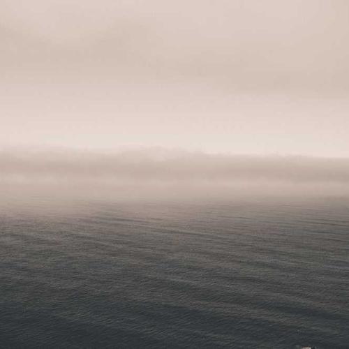 Healthy Blog Post 8